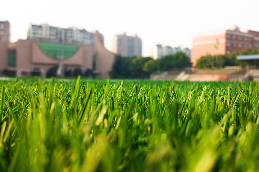 余姚中學(xué)足球場照片